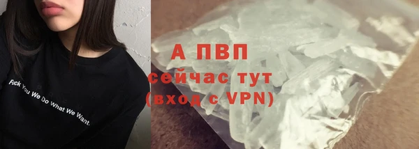 ПСИЛОЦИБИНОВЫЕ ГРИБЫ Бородино