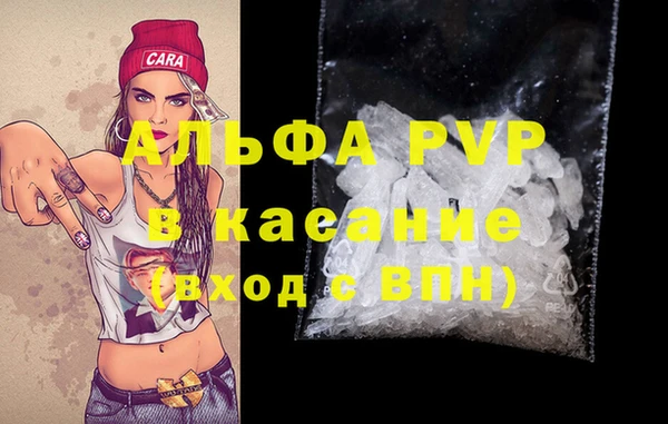ПСИЛОЦИБИНОВЫЕ ГРИБЫ Бородино