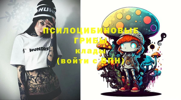 a pvp Бронницы