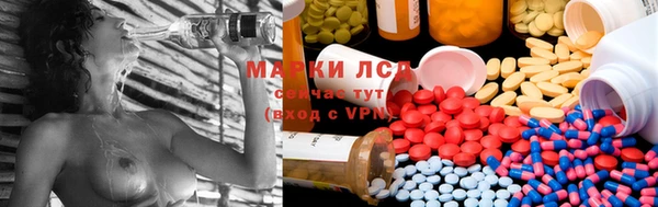 ПСИЛОЦИБИНОВЫЕ ГРИБЫ Бородино