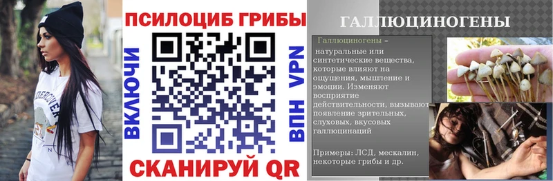 Галлюциногенные грибы прущие грибы  гидра зеркало  Новороссийск 